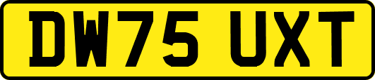 DW75UXT