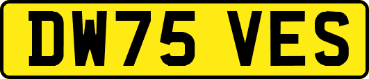 DW75VES