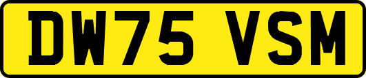 DW75VSM