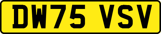 DW75VSV