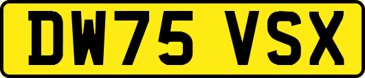 DW75VSX