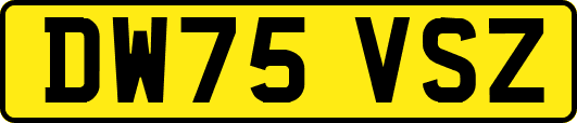 DW75VSZ
