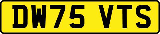 DW75VTS