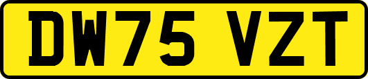 DW75VZT