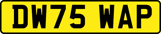 DW75WAP