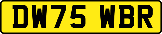 DW75WBR
