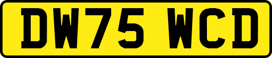 DW75WCD