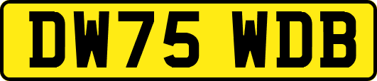 DW75WDB