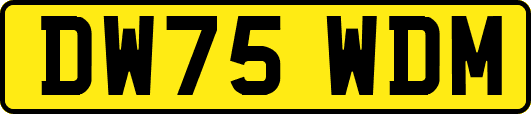 DW75WDM