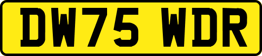 DW75WDR