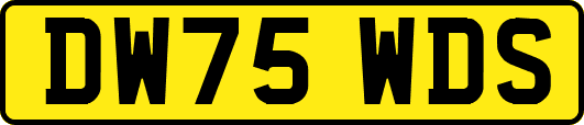 DW75WDS