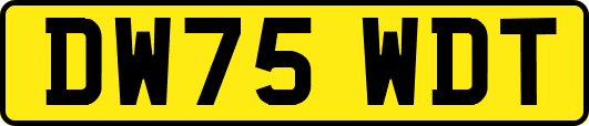 DW75WDT