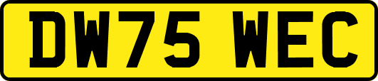 DW75WEC
