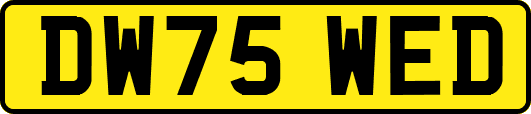 DW75WED