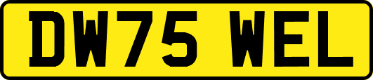 DW75WEL