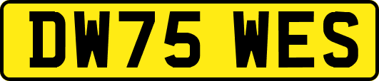 DW75WES