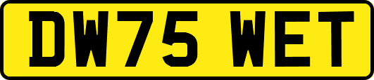 DW75WET