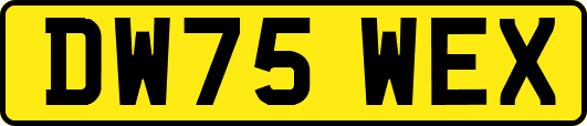 DW75WEX