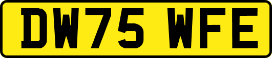 DW75WFE