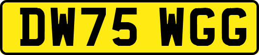 DW75WGG
