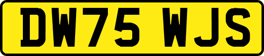 DW75WJS