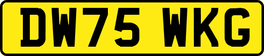 DW75WKG