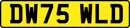 DW75WLD