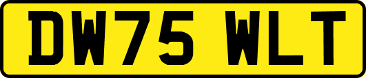 DW75WLT