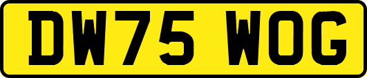 DW75WOG
