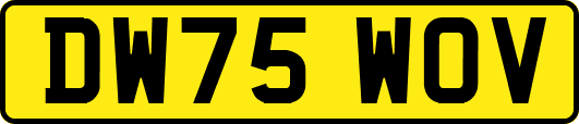 DW75WOV