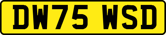 DW75WSD