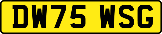 DW75WSG
