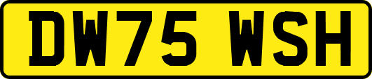 DW75WSH