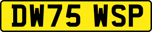 DW75WSP