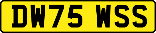 DW75WSS