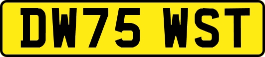 DW75WST