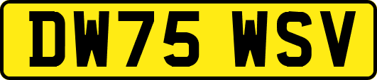DW75WSV