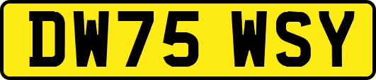 DW75WSY