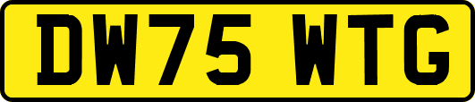 DW75WTG
