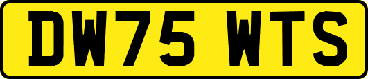 DW75WTS
