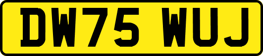 DW75WUJ