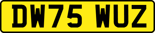 DW75WUZ
