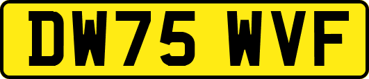 DW75WVF