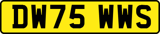 DW75WWS