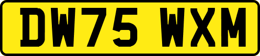 DW75WXM