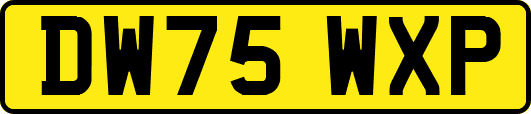 DW75WXP