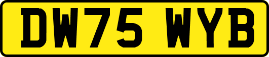 DW75WYB