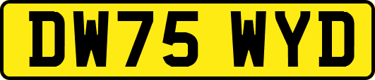 DW75WYD