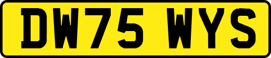 DW75WYS