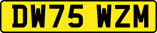 DW75WZM